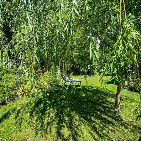 Bambuszkert *